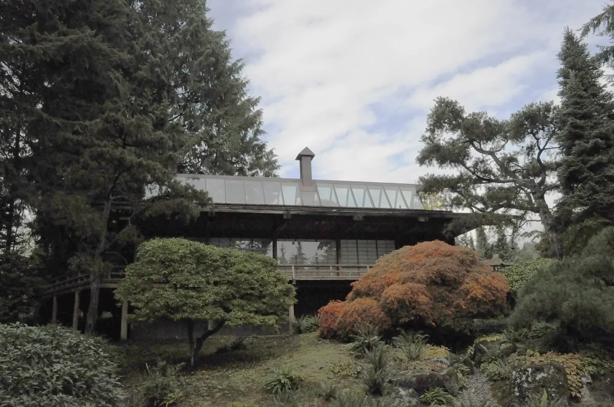 Wooden guest house framed by pines and shrubs in a garden