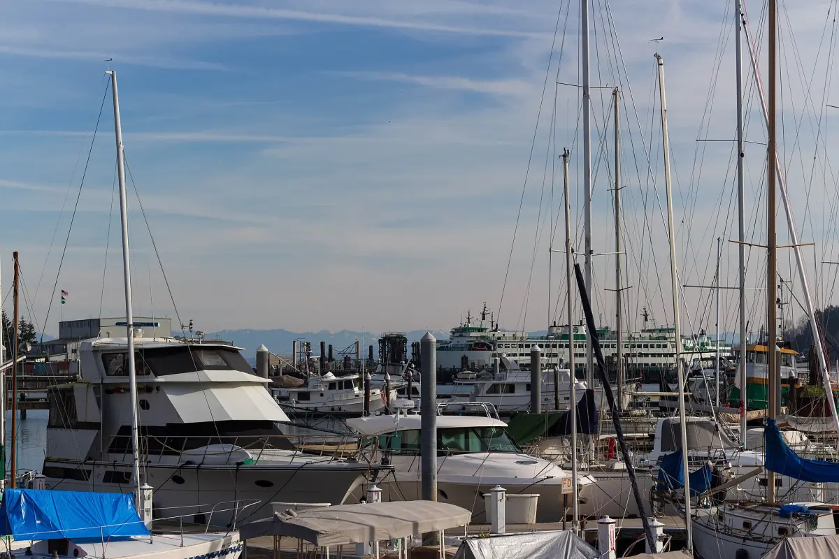 Sailboat masts and moored boats in Eagle Harbor