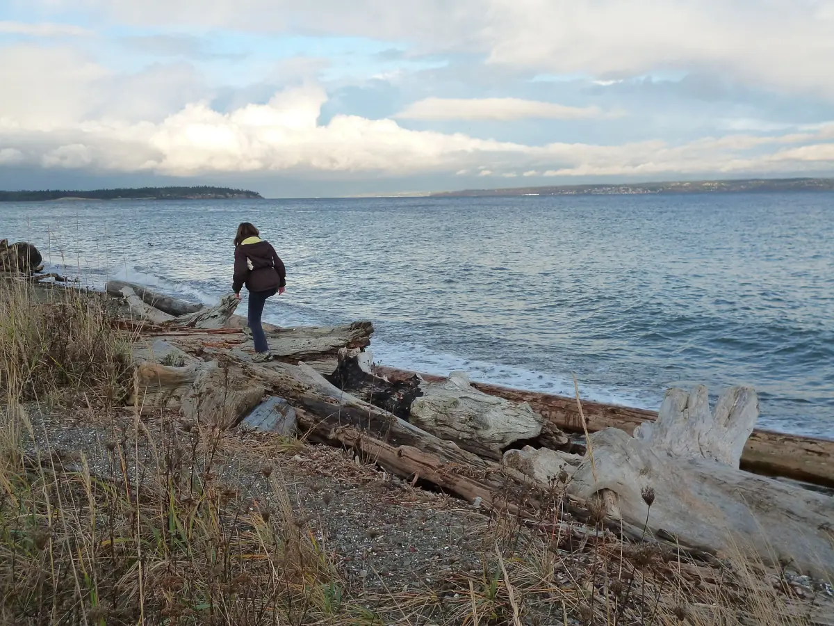 Pebble beach with driftwood and a calm view over the sound
