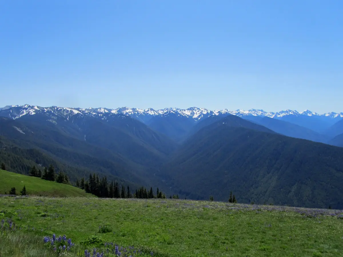 Snow-dusted mountain peaks above a green alpine meadow