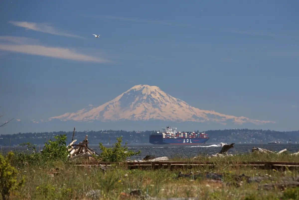 Snow-covered Mount Rainier rising above the water beyond a grassy shore